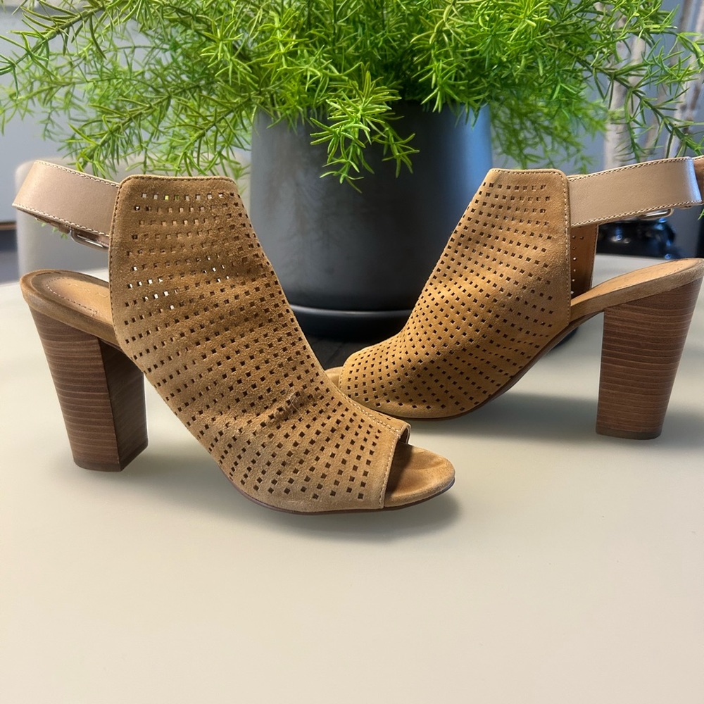 Tahari TA Margaret 2 Suede Gem